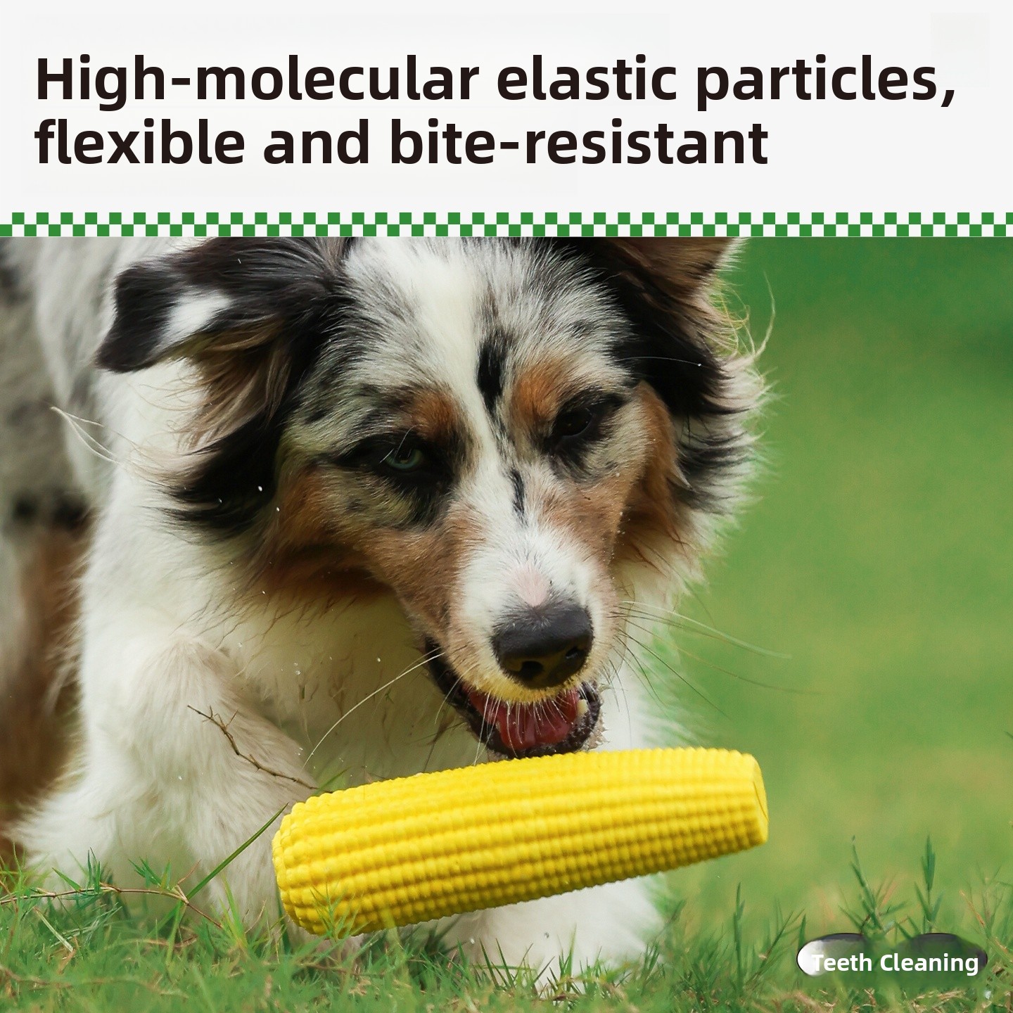 QZee Durable ETPU Corn Dog Toy - Corn Dog Stick ulasan dan harga